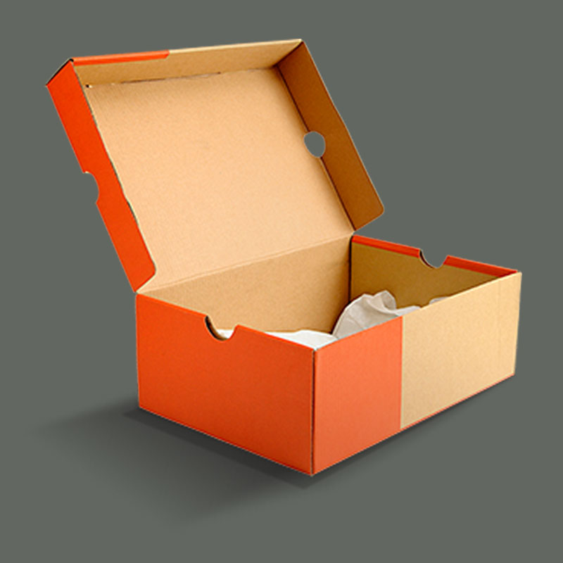 Custom Cardboard Shoe Boxes
